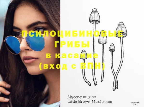 каннабис Пестово